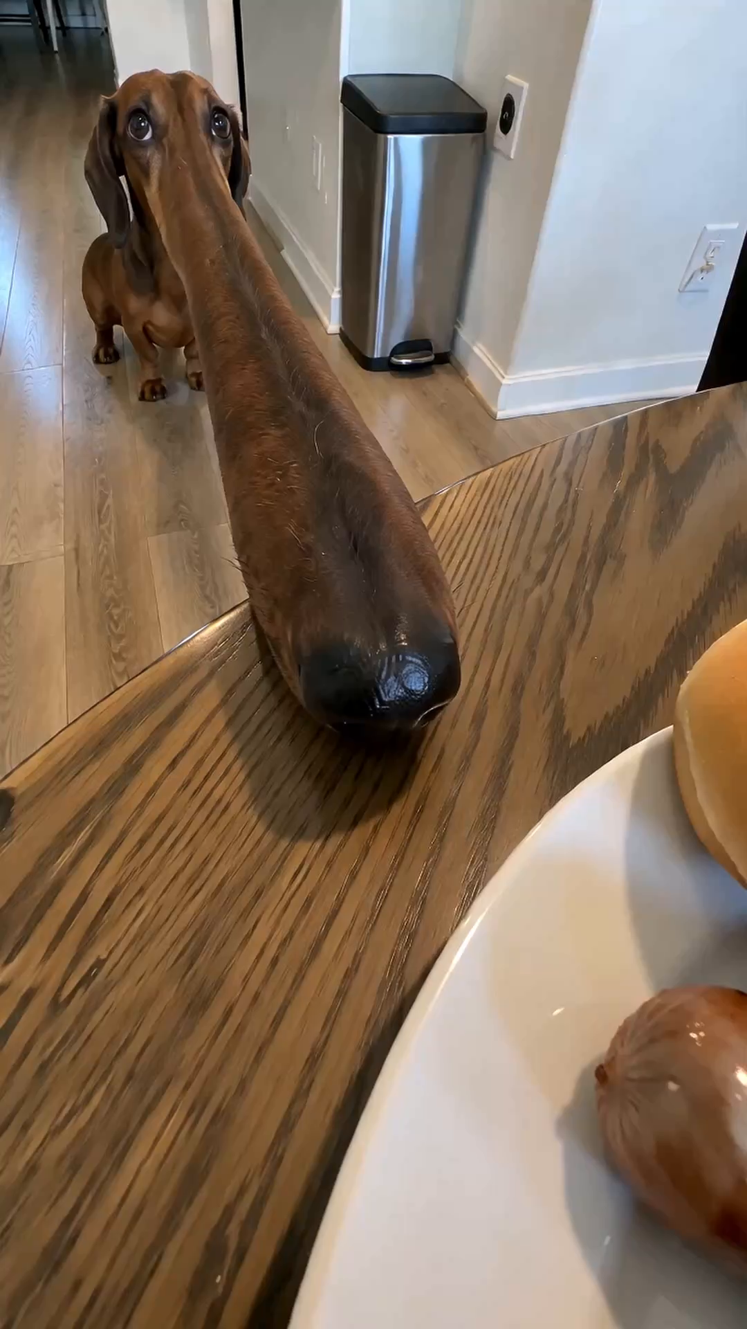 Dennis Longnose reaches across a kitchen counter with his impossibly long nose.